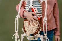 Anatomy & Early Understanding
